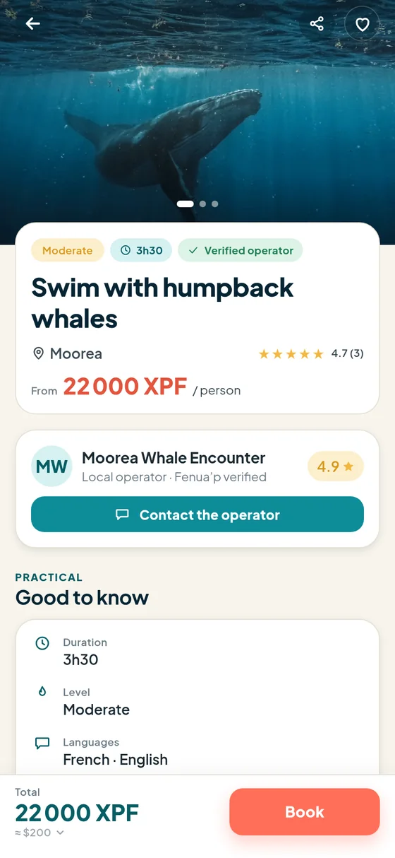 Swim with whales